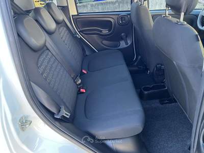 Fiat Panda Panda 1.0 70cv Pandina Cross Bianco usata Almese