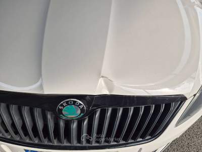 Skoda Fabia Fabia II Berlina 1.2 tsi Monte Carlo 105cv Bianco usata Pisa