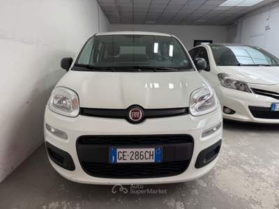 Fiat Panda FireFly S&S Hybrid Easy Bianco usata Trento
