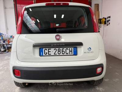Fiat Panda FireFly S&S Hybrid Easy Bianco usata Trento
