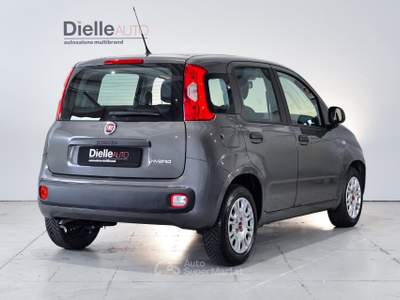 Fiat Panda Panda 1.0 firefly hybrid s&s 70cv Grigio usata Borgaro Torinese