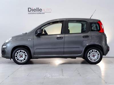 Fiat Panda Panda 1.0 firefly hybrid s&s 70cv Grigio usata Borgaro Torinese