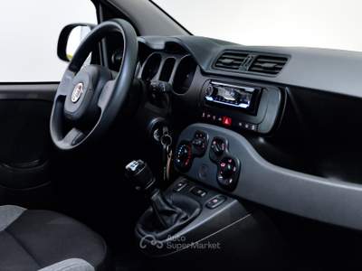 Fiat Panda Panda 1.0 firefly hybrid s&s 70cv Grigio usata Borgaro Torinese