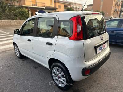 Fiat Panda TAGLIANDO GARANZIA 12 MESI KM CERT usata Brescia