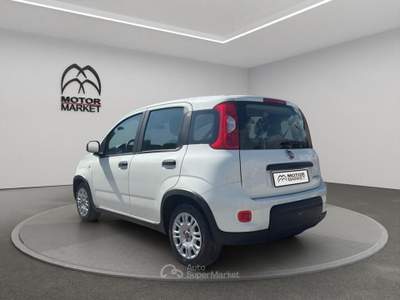 Fiat Panda 1.0 FireFly Hybrid Bianco usata Roma