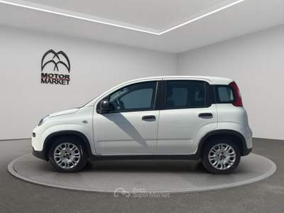 Fiat Panda 1.0 FireFly Hybrid Bianco usata Roma