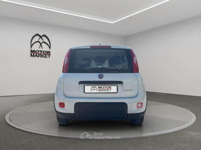 Fiat Panda 1.0 FireFly Hybrid Bianco usata Roma