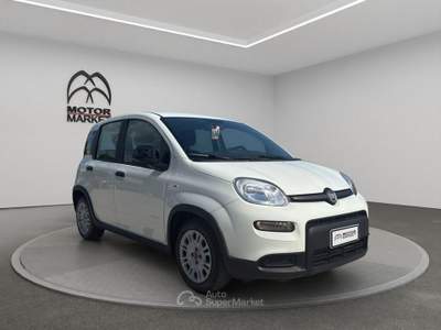 Fiat Panda 1.0 FireFly Hybrid Bianco usata Roma