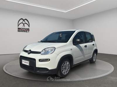 Fiat Panda 1.0 FireFly Hybrid Bianco usata Roma