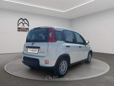 Fiat Panda 1.0 FireFly Hybrid Bianco usata Roma