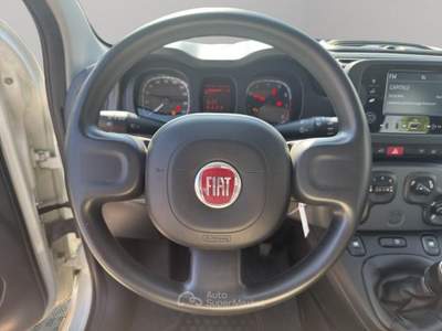 Fiat Panda 1.0 FireFly Hybrid Bianco usata Roma