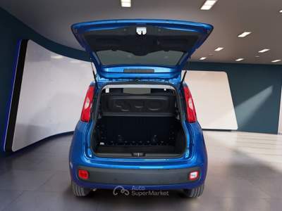 Fiat Panda Panda My25 1.0 70cv Hybrid Panda Blu/Azzurro usata Torino