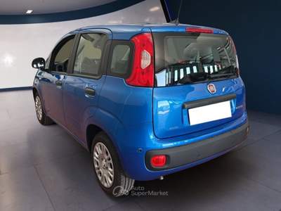 Fiat Panda Panda My25 1.0 70cv Hybrid Panda Blu/Azzurro usata Torino