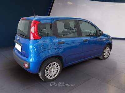 Fiat Panda Panda My25 1.0 70cv Hybrid Panda Blu/Azzurro usata Torino