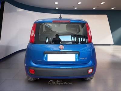 Fiat Panda Panda My25 1.0 70cv Hybrid Panda Blu/Azzurro usata Torino