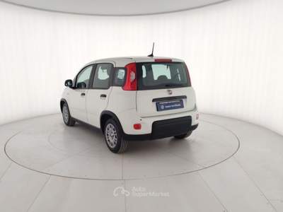 Fiat Panda 1.0 FireFly 70cv S&S Hybrid Pandina Bianco usata Massa