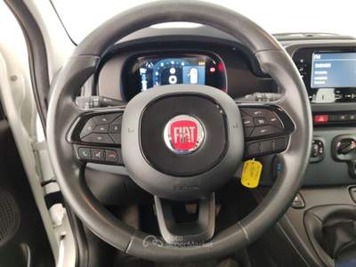 Fiat Panda 1.0 FireFly 70cv S&S Hybrid Pandina Bianco usata Massa