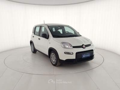 Fiat Panda 1.0 FireFly 70cv S&S Hybrid Pandina Bianco usata Massa