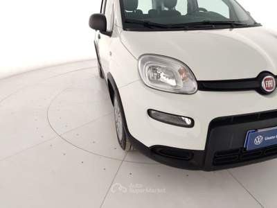 Fiat Panda 1.0 FireFly 70cv S&S Hybrid Pandina Bianco usata Massa