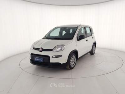 Fiat Panda 1.0 FireFly 70cv S&S Hybrid Pandina Bianco usata Massa