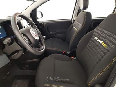 Fiat Panda 1.0 FireFly 70cv S&S Hybrid Pandina Bianco usata Massa