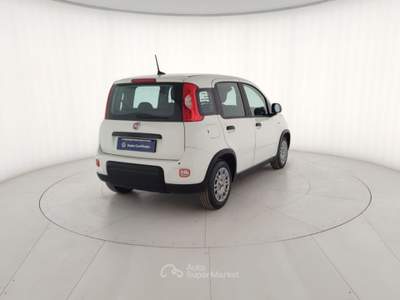 Fiat Panda 1.0 FireFly 70cv S&S Hybrid Pandina Bianco usata Massa