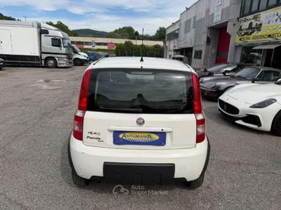 Fiat Panda 1.3 MJT 16V 4x4 Glam Bianco usata Besozzo