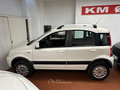 Fiat Panda 1.2 Climbing 4x4 69cv E5 Bianco usata Torino