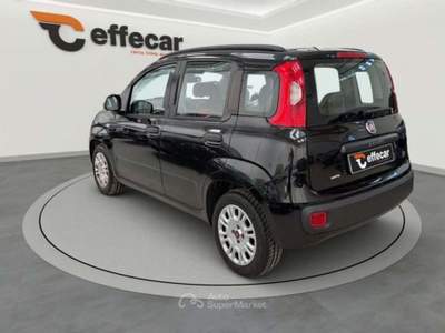 Fiat Panda 1.2 Easy Nero usata Roncadelle