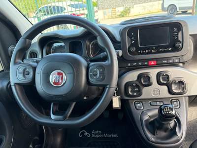 Fiat Panda FireFly S&S Hybrid City Life Grigio usata MARINO