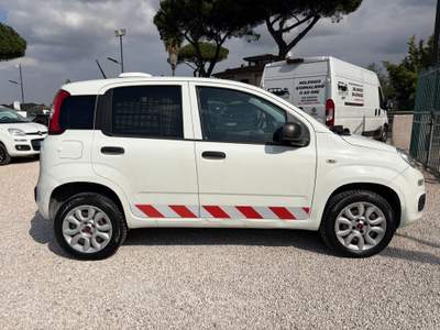 Fiat Panda autocarro a metano usata MARINO