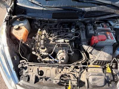 Ford Fiesta Ford Fiesta 2014 1.0 BENZINA  - Gomme estive/ invernali nuove Bianco usata CLES