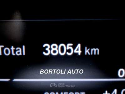 BMW X4 xDrive20d MH 48V 38.000 KM FULL OPTIONAL Grigio usata Mirandola