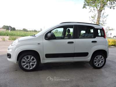 Fiat Panda Turbo Natural Power Easy Bianco usata Spilamberto