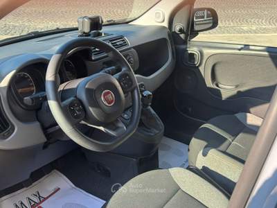 Fiat Panda Fiat Panda 1.0 FireFly S&S Hybrid Argento usata Saviano