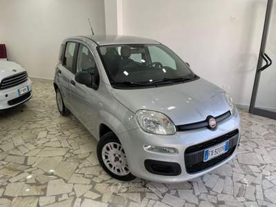 Fiat Panda 1.2 Pop Grigio usata Aversa Fiat Panda 1.2 Pop Grigio usata Aversa