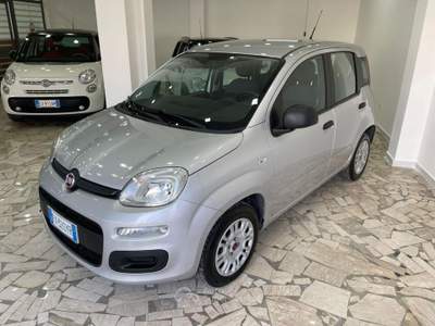 Fiat Panda 1.2 Pop Grigio usata Aversa