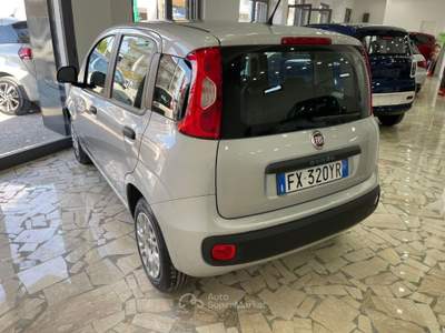 Fiat Panda 1.2 Pop Grigio usata Aversa