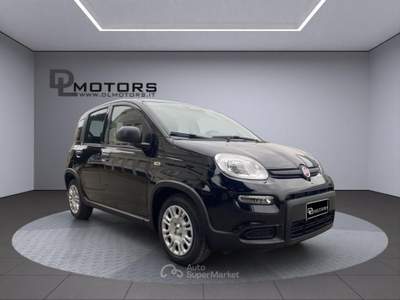 Fiat Panda 1.0 65 Cv *Icon *City Pack *Nazionali *Km0 Nero usata Biassono