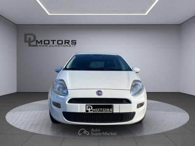 Fiat Punto 1.2 69 Cv *Neopatentati *Bracciolo *Radio Bianco usata Biassono