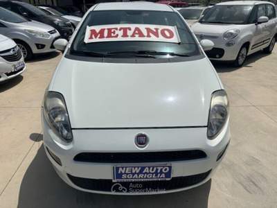 Fiat Punto 5P Natural Power Easy Bianco usata Qualiano