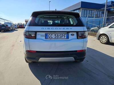 Land Rover Discovery Sport 2.0d td4 mhev SE awd 180cv auto TETTO - GC385PF Bianco usata Basiliano