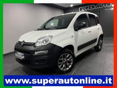 Fiat Panda 1.3 MJT 4x4 Van BLOCCO DIFFERENZIALE Bianco usata Atena lucana