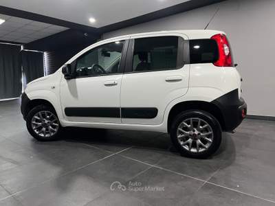 Fiat Panda 1.3 MJT 4x4 Van BLOCCO DIFFERENZIALE Bianco usata Atena lucana