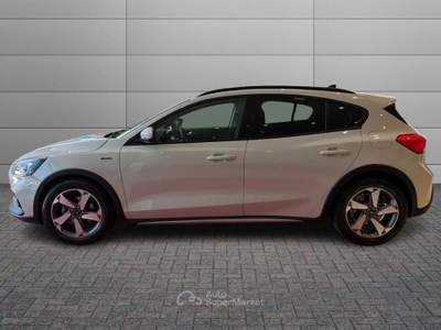 Ford Focus 1.0 EcoBoost 125 CV automatico 5p. Active Co-Pilot Beige usata Sassari