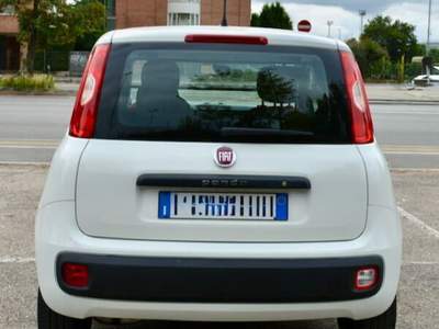 Fiat Panda 1.2 Autocarro 4 Posti Bianco usata Torino