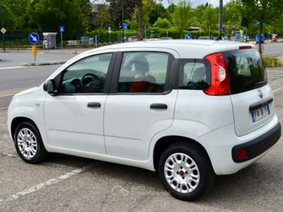 Fiat Panda 1.2 Autocarro 4 Posti Bianco usata Torino