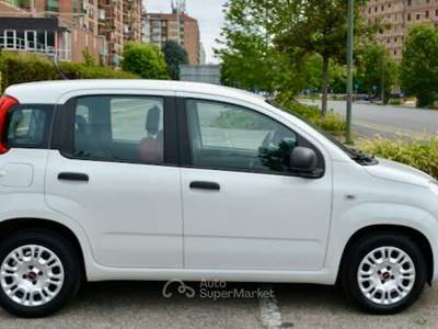 Fiat Panda 1.2 Autocarro 4 Posti Bianco usata Torino