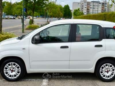 Fiat Panda 1.2 Autocarro 4 Posti Bianco usata Torino