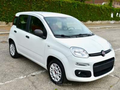 Fiat Panda 1.2 Autocarro 4 Posti Bianco usata Torino